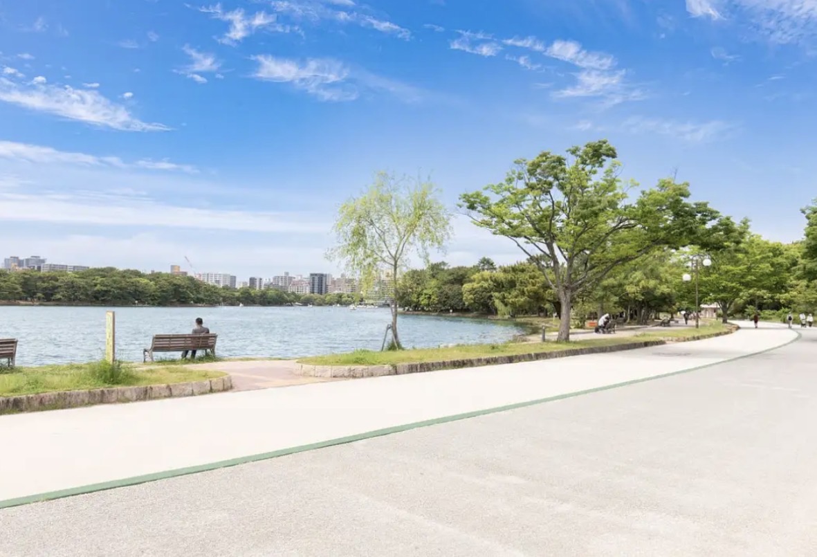 大濠公園の水面と緑のある朝の風景
